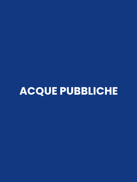 ACQUE PUBBLICHE