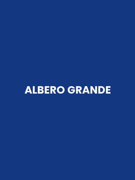 ALBERO GRANDE