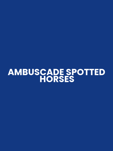 AMBUSCADE SPOTTED HORSES