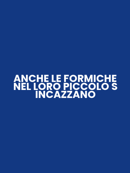 ANCHE LE FORMICHE NEL LORO PICCOLO S INCAZZANO