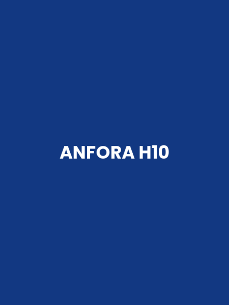 ANFORA H10