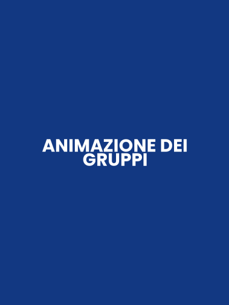 ANIMAZIONE DEI GRUPPI