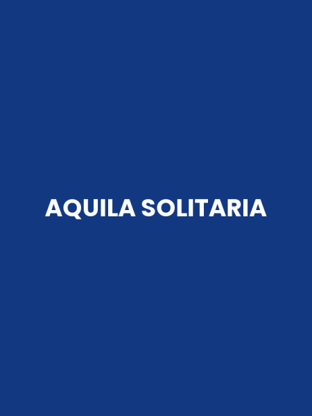 AQUILA SOLITARIA