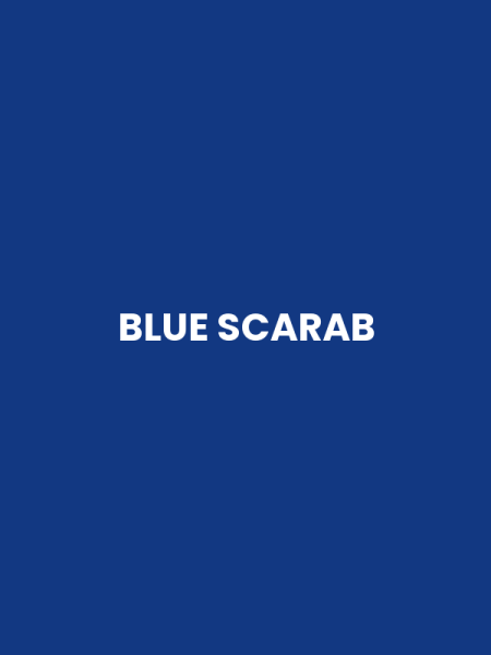 BLUE SCARAB