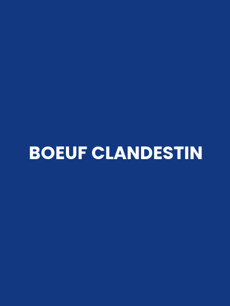 BOEUF CLANDESTIN