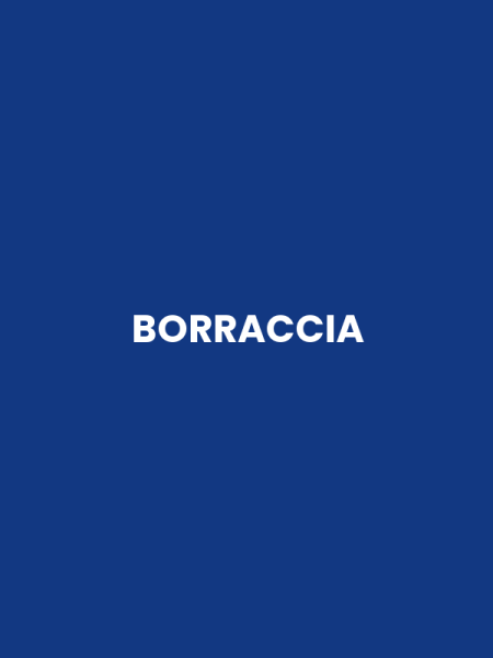 BORRACCIA