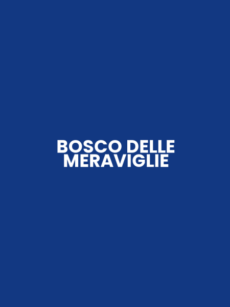 BOSCO DELLE MERAVIGLIE
