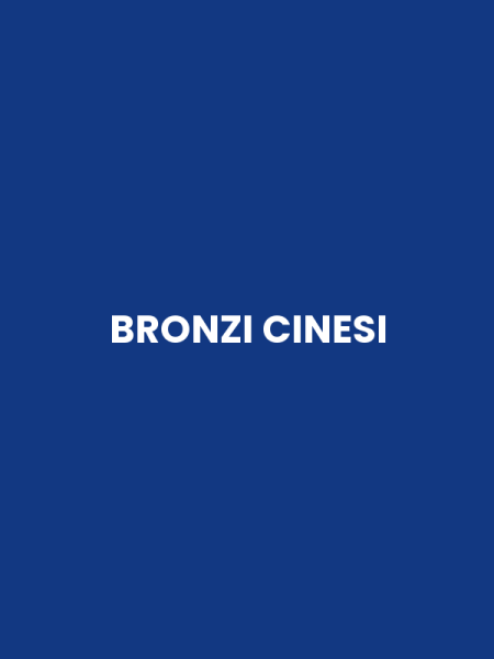 BRONZI CINESI