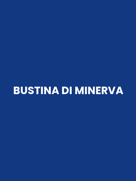 BUSTINA DI MINERVA