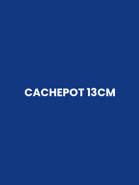 CACHEPOT 13CM