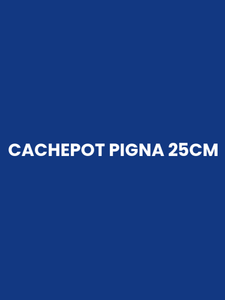 CACHEPOT PIGNA 25CM