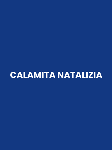 CALAMITA NATALIZIA