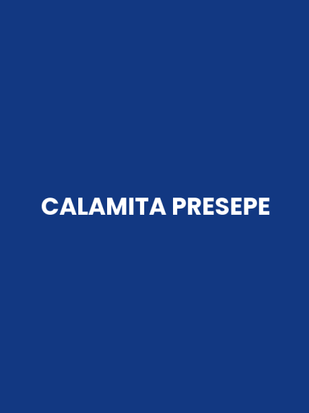 CALAMITA PRESEPE