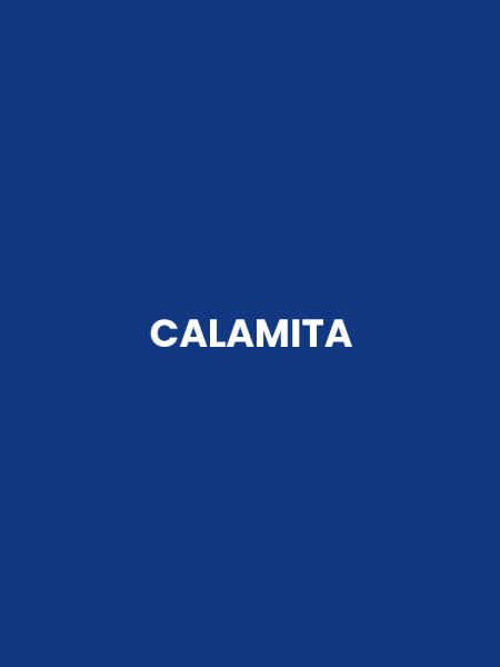 CALAMITA