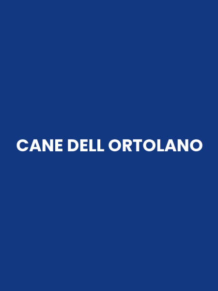 CANE DELL ORTOLANO