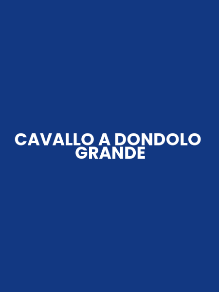 CAVALLO A DONDOLO GRANDE