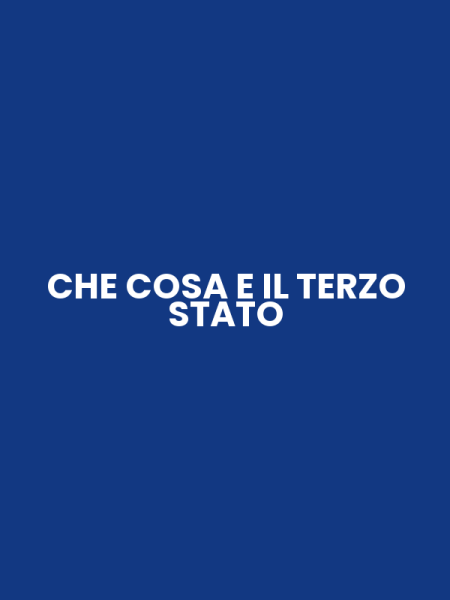 CHE COSA E IL TERZO STATO