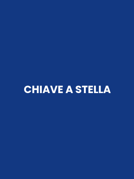 CHIAVE A STELLA