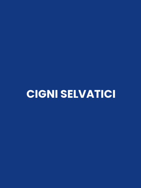 CIGNI SELVATICI
