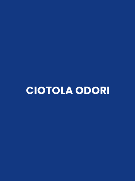 CIOTOLA ODORI