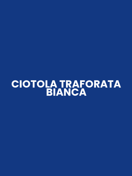 CIOTOLA TRAFORATA BIANCA