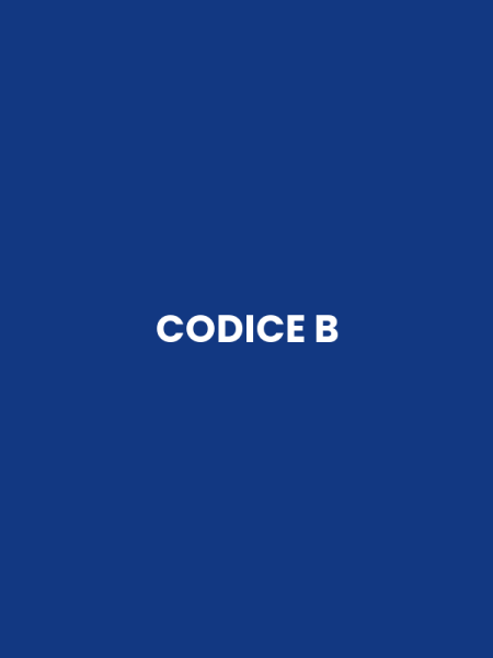 CODICE B