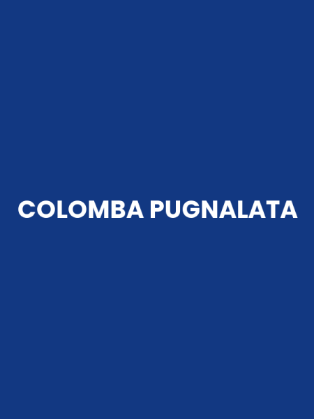 COLOMBA PUGNALATA