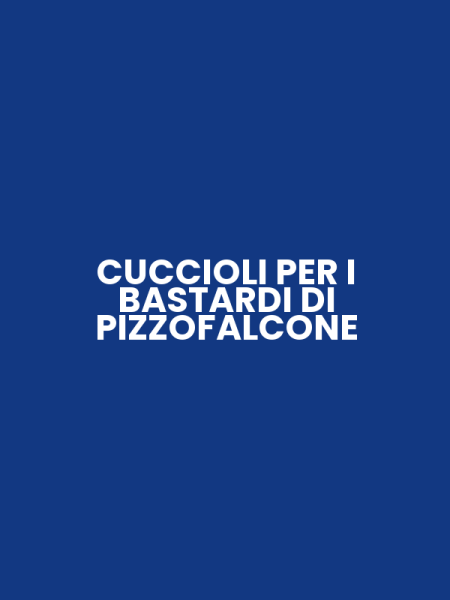 CUCCIOLI PER I BASTARDI DI PIZZOFALCONE