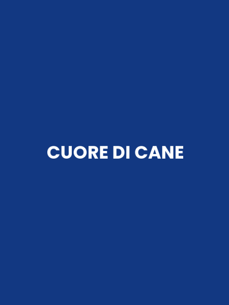 CUORE DI CANE