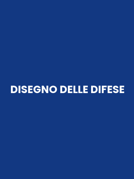 DISEGNO DELLE DIFESE