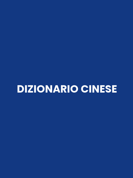 DIZIONARIO CINESE