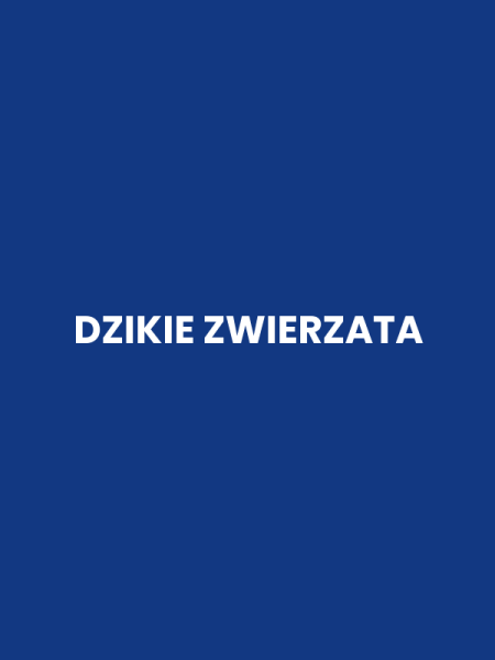 DZIKIE ZWIERZATA