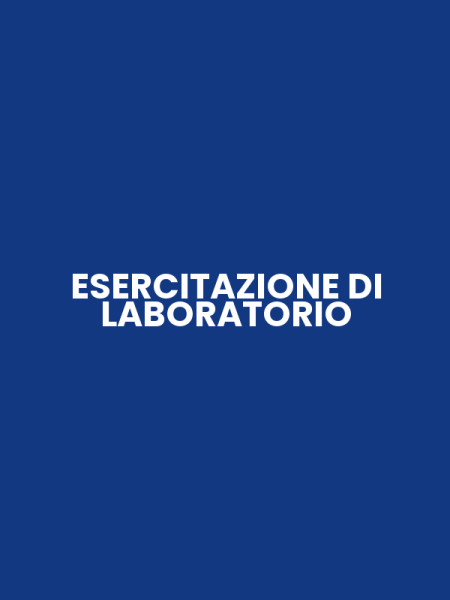 ESERCITAZIONE DI LABORATORIO