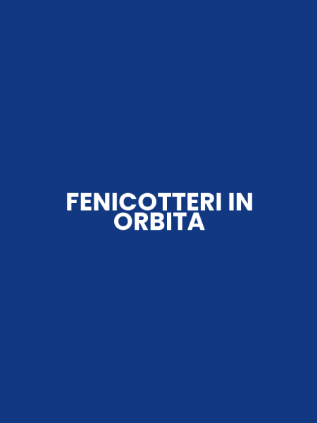 FENICOTTERI IN ORBITA