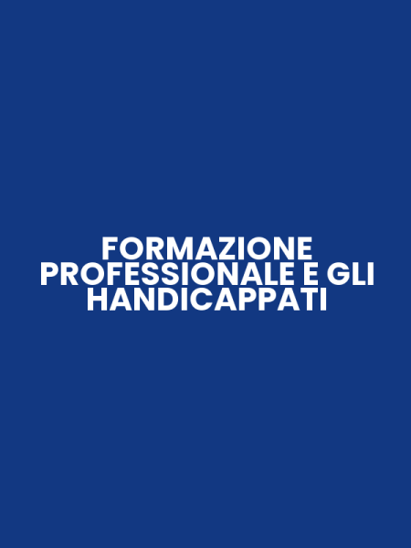 FORMAZIONE PROFESSIONALE E GLI HANDICAPPATI