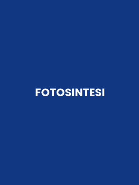 FOTOSINTESI