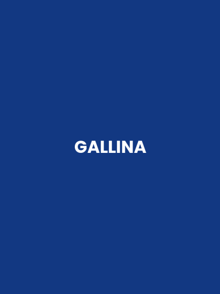 GALLINA