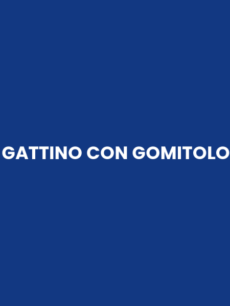GATTINO CON GOMITOLO