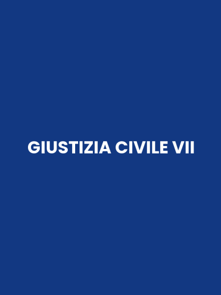 GIUSTIZIA CIVILE VII