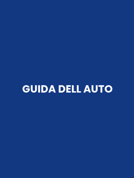 GUIDA DELL AUTO