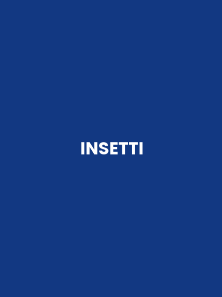 INSETTI