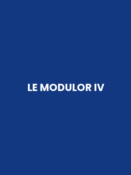 LE MODULOR IV