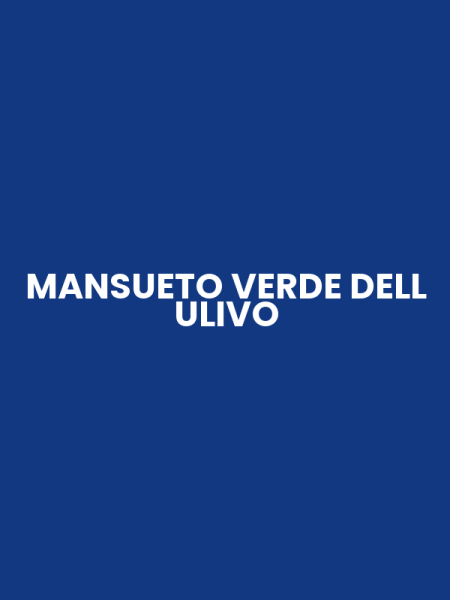 MANSUETO VERDE DELL ULIVO