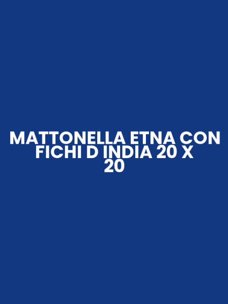 MATTONELLA ETNA CON FICHI D INDIA 20 X 20