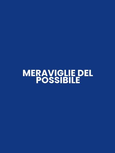 MERAVIGLIE DEL POSSIBILE