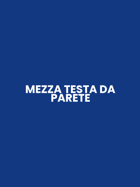 MEZZA TESTA DA PARETE