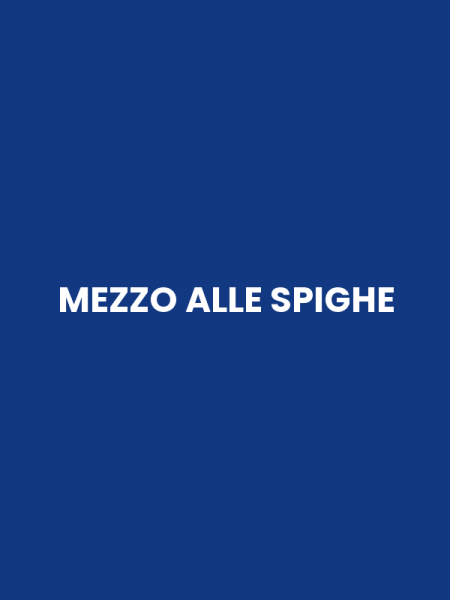 MEZZO ALLE SPIGHE