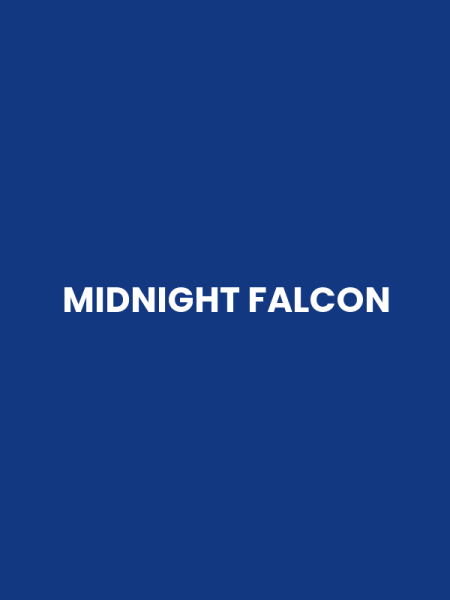 MIDNIGHT FALCON
