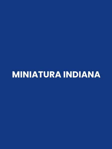 MINIATURA INDIANA