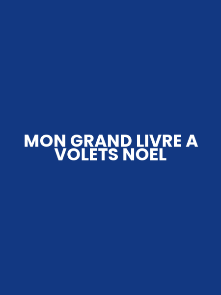 MON GRAND LIVRE A VOLETS NOEL